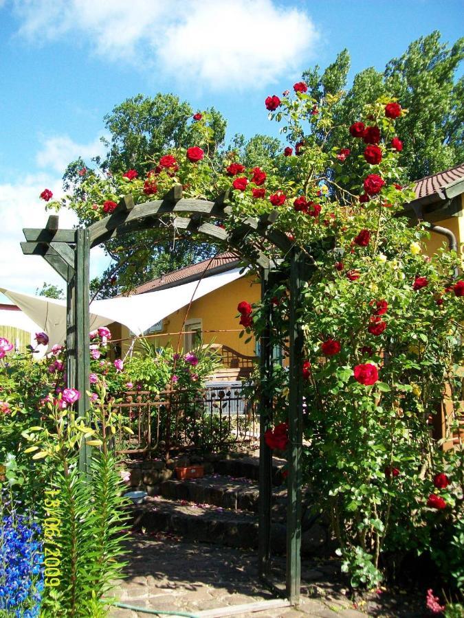 Hotel Barrel -Schlafen Im Fass Gorleben Exterior foto